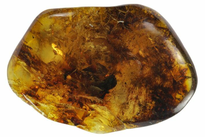 Polished Chiapas Amber ( g) - Mexico #114812
